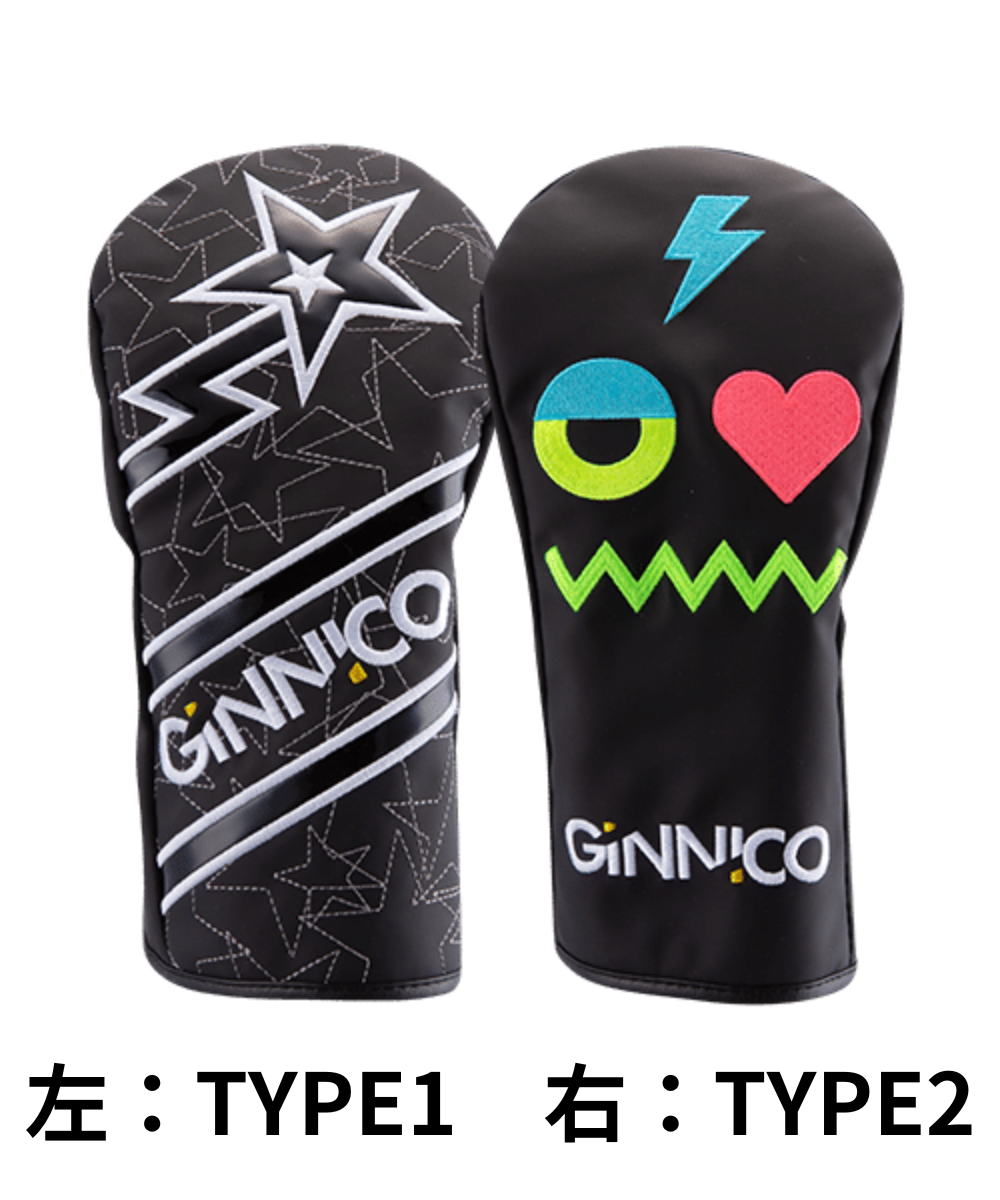 (GINNICO)MODEL02 TWO STAR×(グラファイトデザイン)TOUR AD VF
