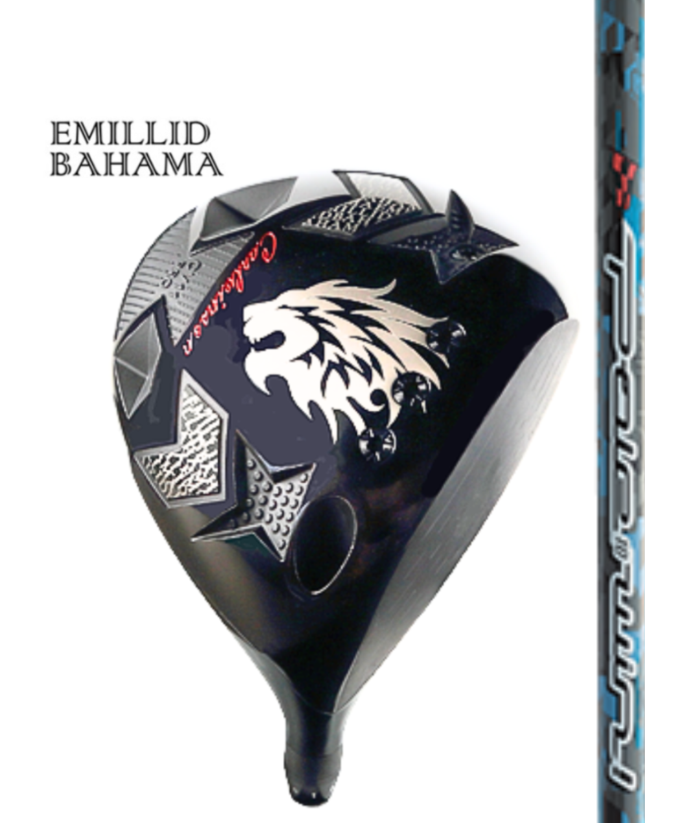 (エミリッドバハマ) カールヴィンソン CV-11PRO×(スリリング)ポールトゥーウィン