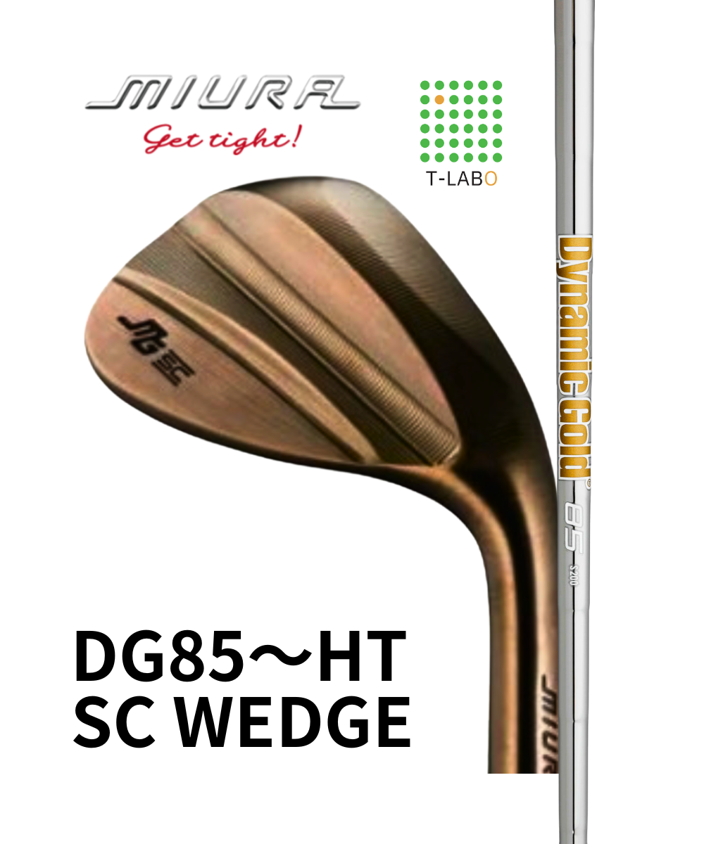 （三浦技研）SCウェッジ×(トゥルーテンパー）ダイナミックゴールド 85～HT