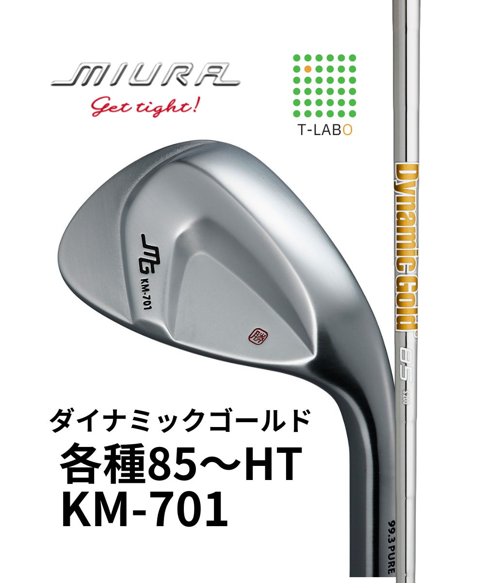 （三浦技研）KM-701×(トゥルーテンパー）ダイナミックゴールド 85～HT